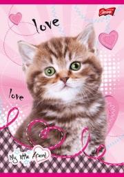 Opakowanie Zeszyt A5/16K laminowany My Little Friend - opakowanie 15