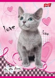 Zeszyt A5/16K laminowany My Little Friend - opakowanie 15. Wydawca: ST.MAJEWSKI. Dadada.pl Opakowanie Zeszyt A5/16K laminowany My Little Friend - opakowanie 15