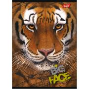 ZESZYT A5/96 M.BIG FACE = BPZ. Wydawca: ST.MAJEWSKI. Dadada.pl Opakowanie ZESZYT A5/96 M.BIG FACE = BPZ