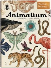 Okładka książki Animalium