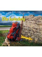 Okładka książki Dla katechety Perełka 260