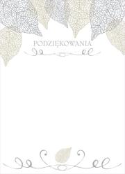 Opakowanie Dyplomy okolicznościowe podziękowania 20 sztuk