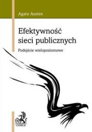 Okładka książki Efektywność sieci publicznych.