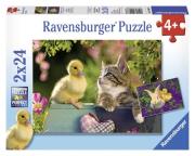 Opakowanie Królik i Kaczka 2x24