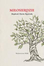 Miłosierdzie. Autor: praca zbiorowa. Dadada.pl Okładka książki Miłosierdzie