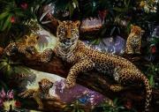 Opakowanie Puzzle 1000 Dumna matka Leoparda