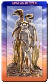 Opakowanie Puzzle 3D Surykatki 32 elementy