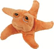 Opakowanie Rozgwiazda Astro 15 cm