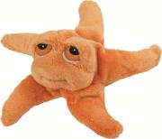 Opakowanie Rozgwiazda Astro 25 cm