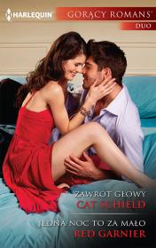 Zawrót głowy Jedna noc to za mało. Autor: Schield Cat, Garnier Red. Dadada.pl Okładka książki Zawrót głowy Jedna noc to za mało