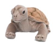 Żółw lądowy 20 cm. Wydawca: WWF. Dadada.pl Opakowanie Żółw lądowy 20 cm