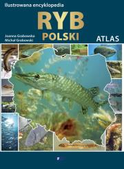 Ilustrowana encyklopedia ryb. Autor: Joanna Łodziana-Grabowska (, Michał Grabowski. Dadada.pl Okładka książki Ilustrowana encyklopedia ryb