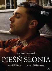 Pieśń słonia/ Tongariro. Autor: Biname Charles. Dadada.pl Okładka książki Pieśń słonia/ Tongariro