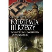 Okładka książki Podziemia III Rzeszy. Tajemnice książka...