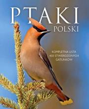 Ptaki Polski w.2015 SBM. Autor: Marchowski Dominik. Dadada.pl Okładka książki Ptaki Polski w.2015 SBM