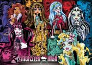 Opakowanie Puzzle 104 Brilliant Monster High