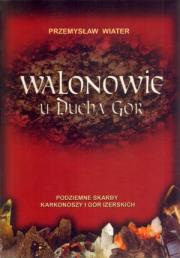 Walonowie u ducha gór. Autor: Wiater Przemysław. Dadada.pl Okładka książki Walonowie u ducha gór