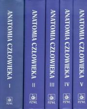 Anatomia człowieka Tom 1-5. Autor: Bochenek Adam, Reicher Michał. Dadada.pl Okładka książki Anatomia człowieka Tom 1-5