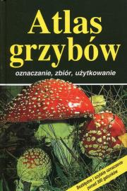 Atlas grzybów. Autor: Fluck Markus. Dadada.pl Okładka książki Atlas grzybów