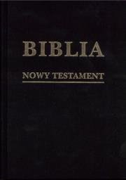 Okładka książki Biblia w zarysie. Nowy Testament płótno