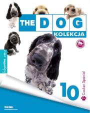 Opakowanie Cocker Spaniel