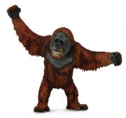 Opakowanie Collecta. Orangutan