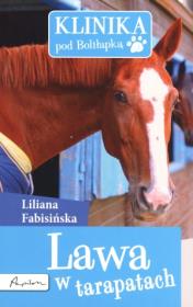 Okładka książki Klinika pod Boliłapką. Lawa w tarapatach