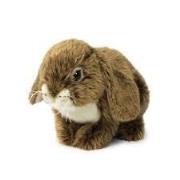 Opakowanie Królik siedzący brązowy 25 cm ACP