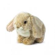 Opakowanie Królik siedzący kremowy 25 cm ACP