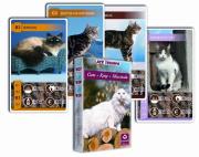 Opakowanie Kwartet - Koty. Karty do gry Cartamundi