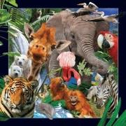 Magnes 3D Dzikie Zwierzęta. Wydawca: Worth Keeping. Dadada.pl Opakowanie Magnes 3D Dzikie Zwierzęta