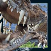 Opakowanie Magnes 3D Krokodyl