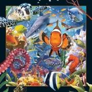 Opakowanie Magnes 3D Ocean