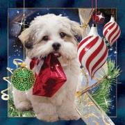 Opakowanie Magnes 3D Świąteczny Pies