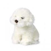 Opakowanie Maltańczyk 18 cm ACP