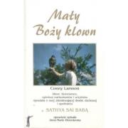 Mały Boży Klown. Autor: Bernie Siegel. Dadada.pl Okładka książki Mały Boży Klown