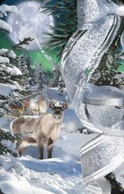 Opakowanie Mini kartka 3D Kokarda