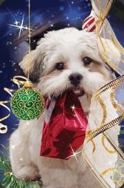 Opakowanie Mini kartka 3D Świąteczny Pies