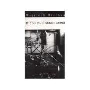 Niebo nad Sosnowcem. Autor: Wojciech Brzoska. Dadada.pl Okładka książki Niebo nad Sosnowcem
