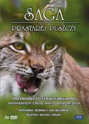 Okładka książki Saga prastarej puszczy