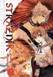 Strażnik domu Momochi. Tom 3. Autor: Aya Shouoto. Dadada.pl Okładka książki Strażnik domu Momochi. Tom 3