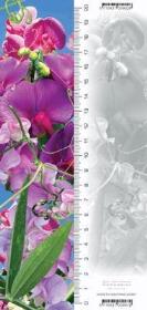 Opakowanie Zakładka 3D Groszek