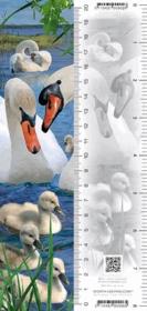 Opakowanie Zakładka 3D Łabędź