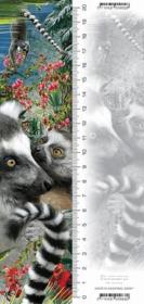 Opakowanie Zakładka 3D Lemur