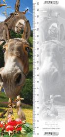 Zakładka 3D Osioł. Wydawca: Worth Keeping. Dadada.pl Opakowanie Zakładka 3D Osioł