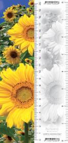 Zakładka 3D Słoneczniki. Wydawca: Worth Keeping. Dadada.pl Opakowanie Zakładka 3D Słoneczniki