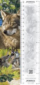 Opakowanie Zakładka 3D Wilk