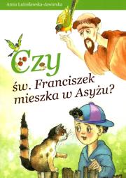 Okładka książki Czy św. Franciszek mieszka w Asyżu?