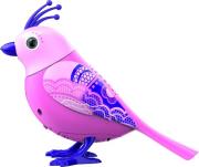 Opakowanie DigiBirds 3 Lacy