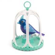 Opakowanie DigiBirds z klatką Congo